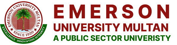 Emerson University Multan